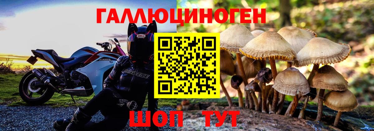 Галлюциногенные грибы мицелий  Псилоцибиновые грибы мицелий  цены   Дербент  Вход с VPN 